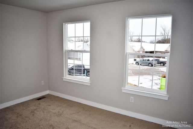 spare room featuring plenty of natural light and carpet floors