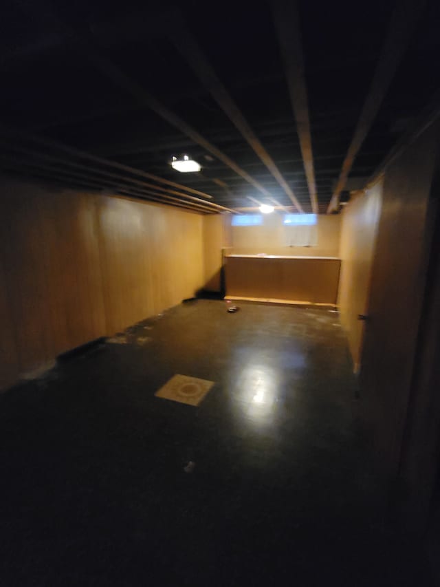 basement with wood walls