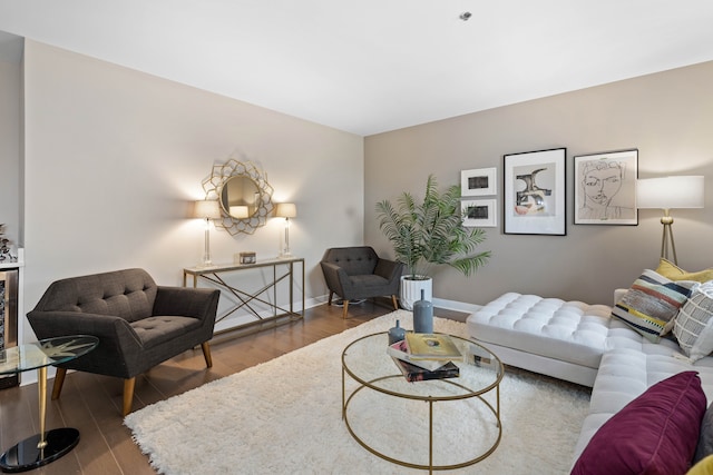 living room featuring hardwood / wood-style floors