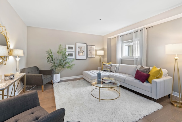 living room with hardwood / wood-style floors