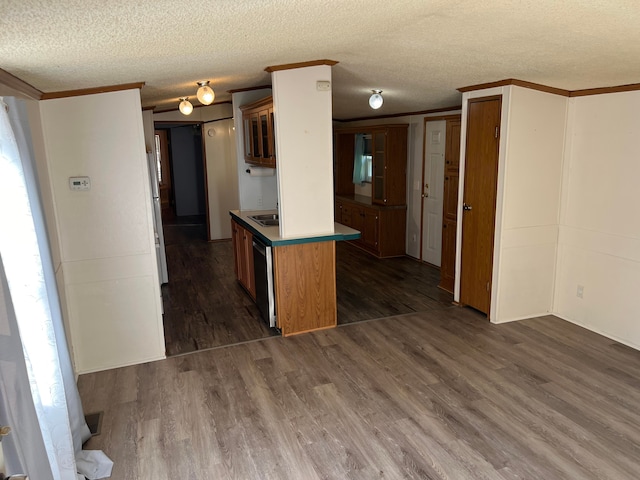 kitchen featuring dishwasher, dark hardwood / wood-style flooring, and a textured ceiling