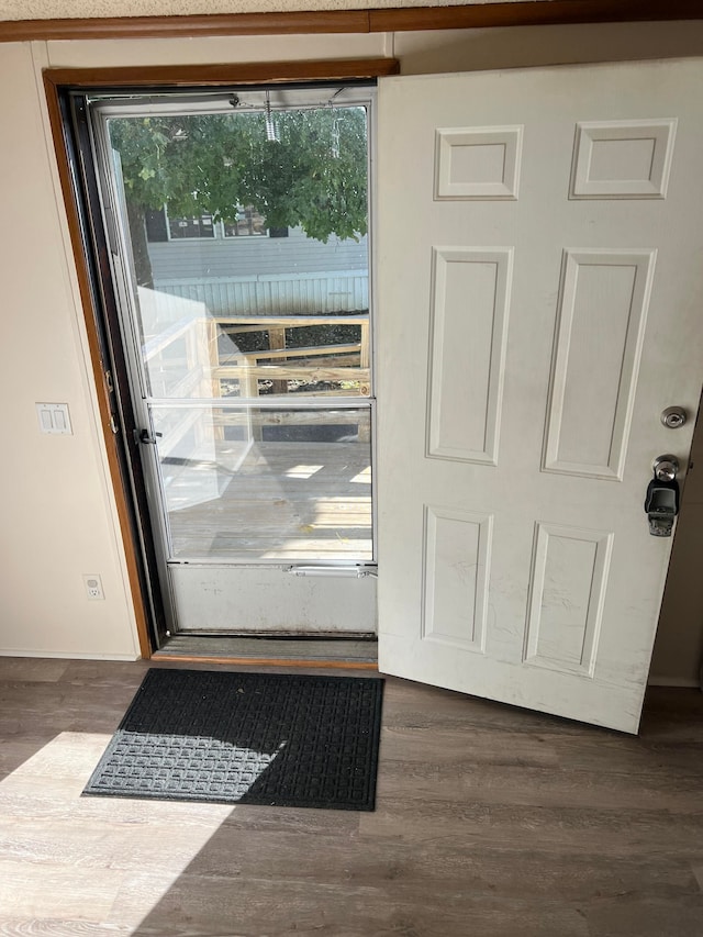 doorway featuring dark hardwood / wood-style floors and a healthy amount of sunlight