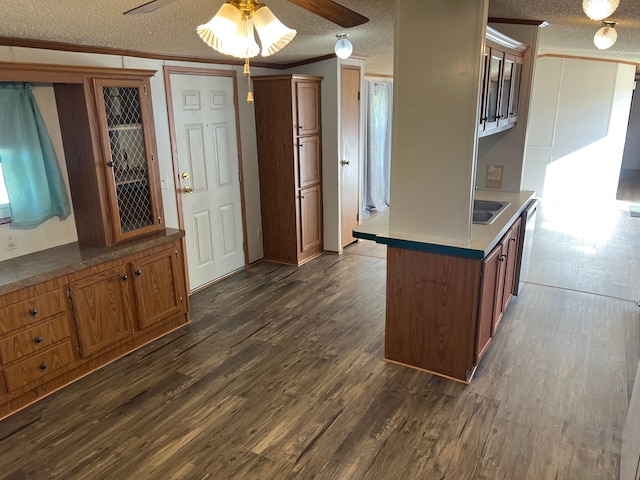 kitchen featuring dishwasher, dark hardwood / wood-style flooring, a textured ceiling, and ceiling fan