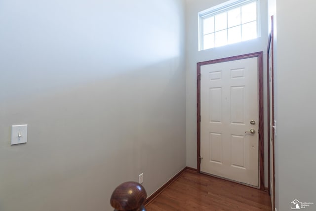 entryway with hardwood / wood-style flooring