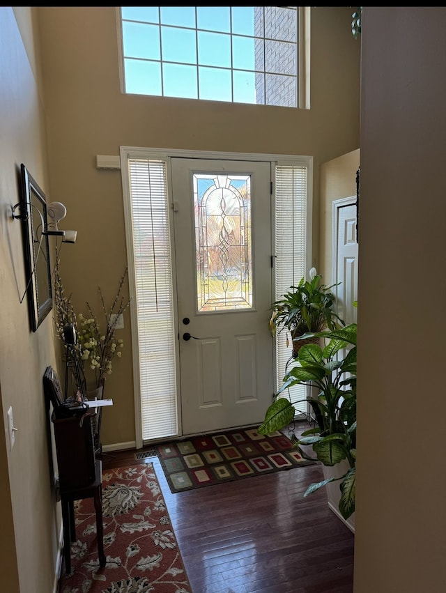 entrance foyer featuring a high ceiling and dark hardwood / wood-style floors