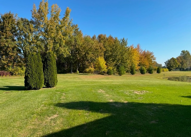 22031 Goldenwillow Dr, Macomb, MI 48044 - view of property's community featuring a lawn