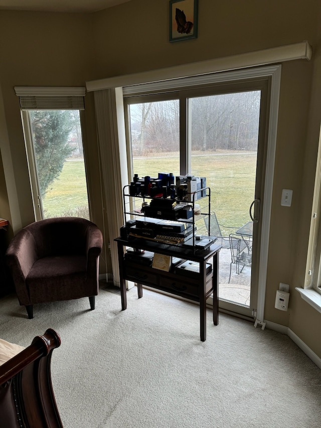 living area featuring carpet floors