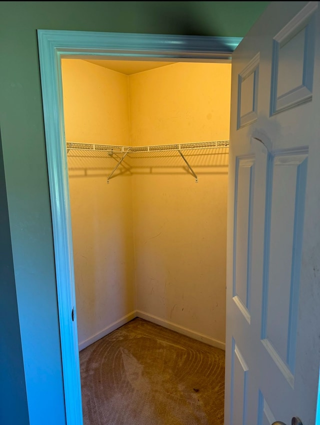 walk in closet featuring carpet