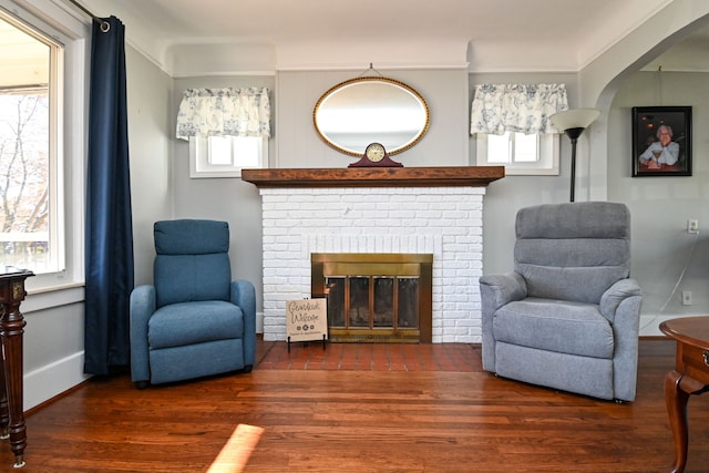 living area featuring a wealth of natural light and dark wood-type flooring