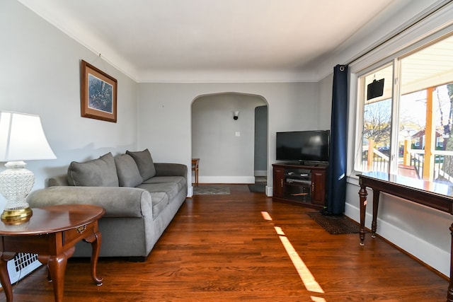 living room featuring crown molding and dark hardwood / wood-style flooring