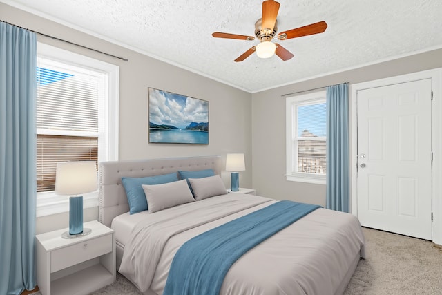 carpeted bedroom with multiple windows, ceiling fan, and a textured ceiling