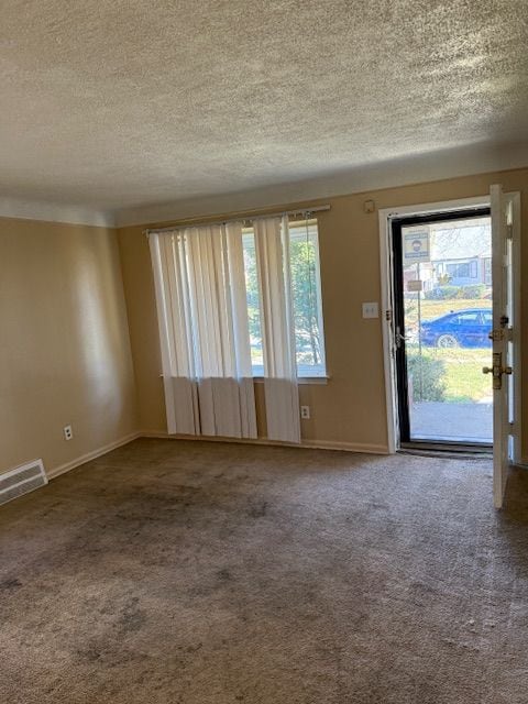 carpeted empty room featuring a healthy amount of sunlight and a textured ceiling