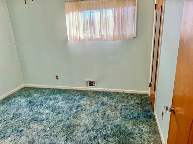 spare room featuring carpet floors