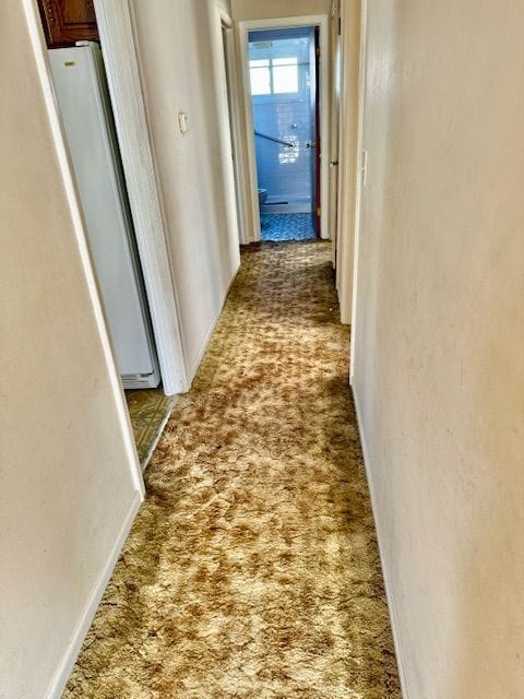 hallway featuring carpet flooring