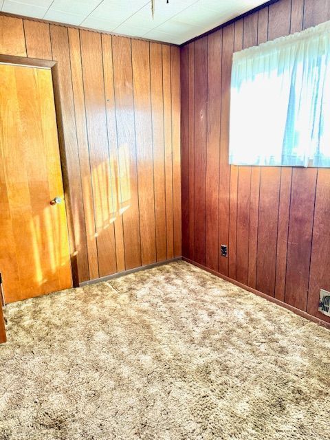 spare room featuring carpet flooring and wood walls