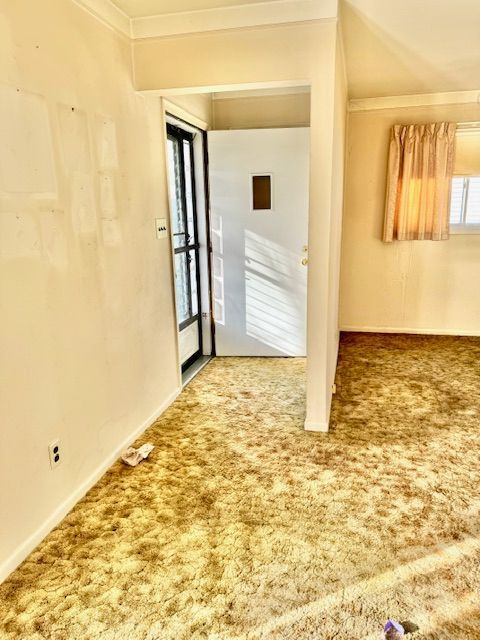 carpeted empty room featuring crown molding