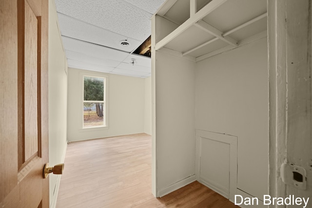 spacious closet featuring hardwood / wood-style flooring