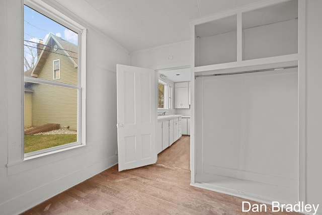 unfurnished bedroom with a closet, light wood-type flooring, sink, and multiple windows