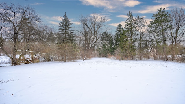 view of yard layered in snow