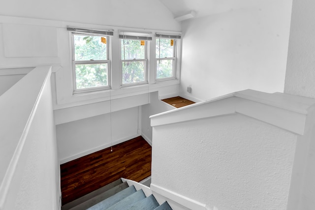 stairs with hardwood / wood-style floors, a wealth of natural light, and vaulted ceiling