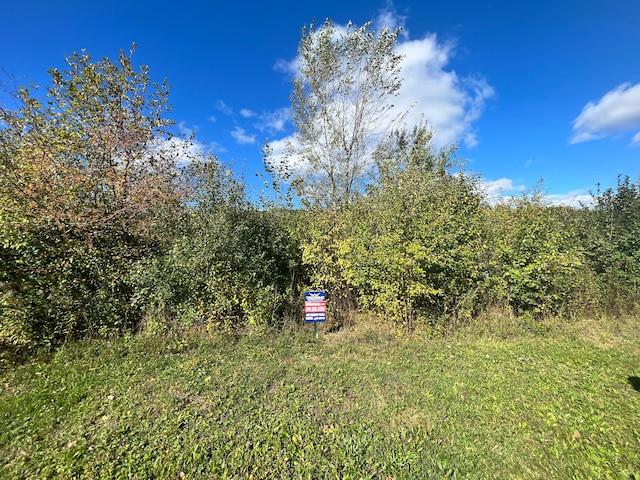 4417 Market, Flint, MI 48506 - photo 1