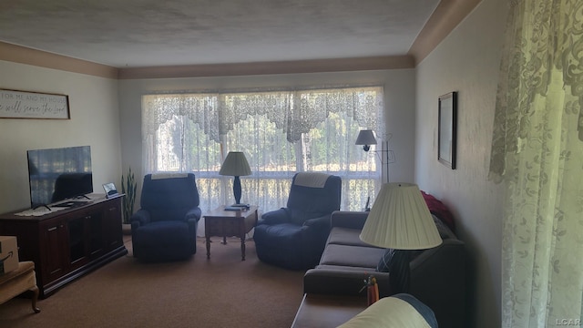 living room featuring carpet flooring and plenty of natural light