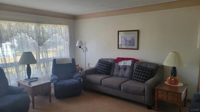 living room featuring carpet flooring