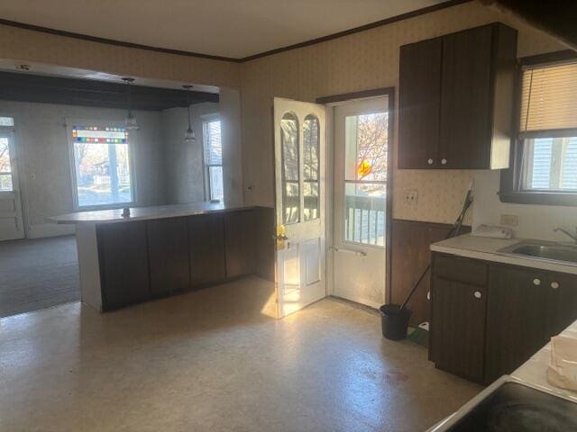 231 W Todd Ave, Reed City, MI 49677 - kitchen with crown molding, a sink, dark brown cabinets, light countertops, and a peninsula