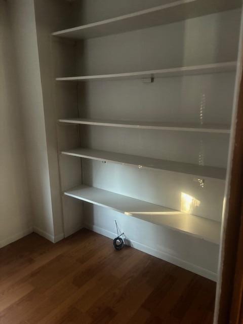 231 W Todd Ave, Reed City, MI 49677 - view of closet