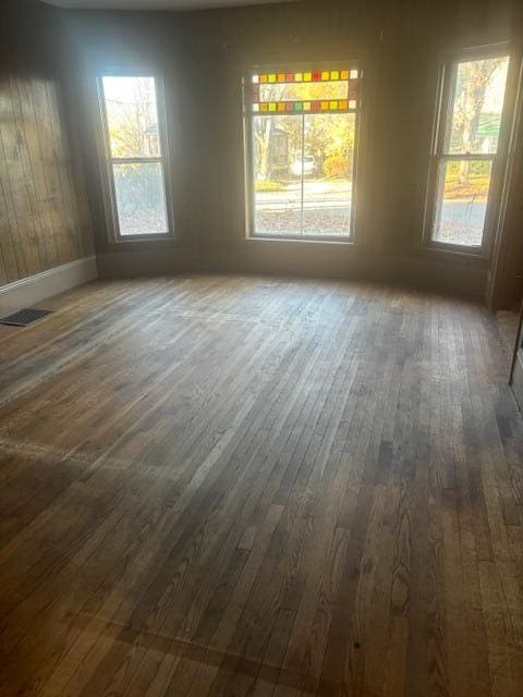 spare room with dark hardwood / wood-style floors and a wealth of natural light