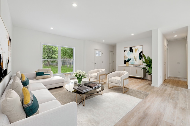 living room featuring light wood-type flooring