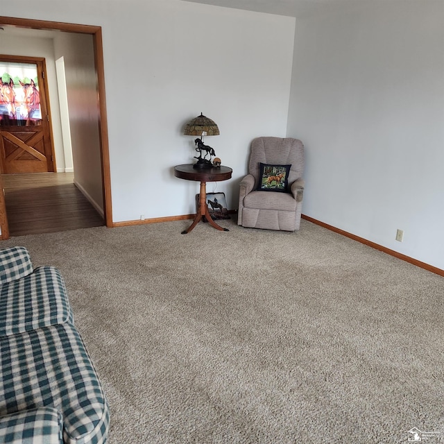 sitting room featuring carpet flooring