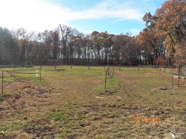 view of yard with a rural view