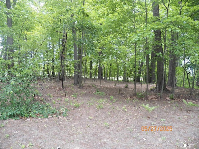 2600 Meanwell Rd, Petersburg, MI 49270 - photo 79