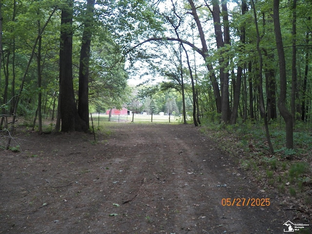 2600 Meanwell Rd, Petersburg, MI 49270 - photo 78