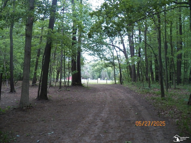 2600 Meanwell Rd, Petersburg, MI 49270 - photo 59