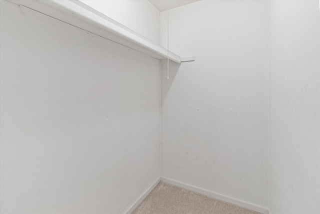 walk in closet with light colored carpet