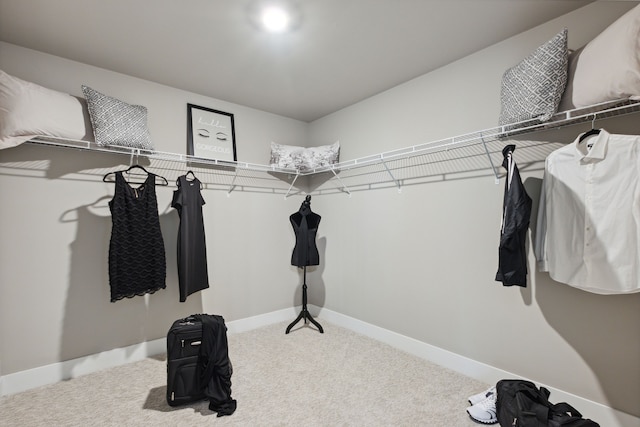 spacious closet with carpet