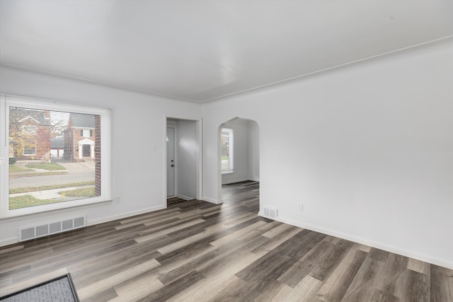 empty room featuring dark hardwood / wood-style floors and a wealth of natural light