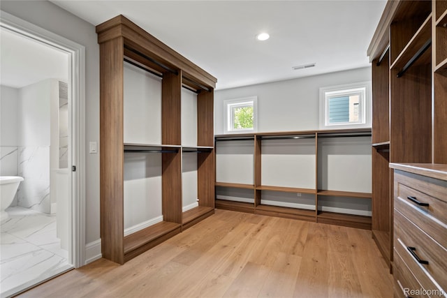 2182 Buckingham Ave, Birmingham, MI 48009 - spacious closet with light wood-style floors