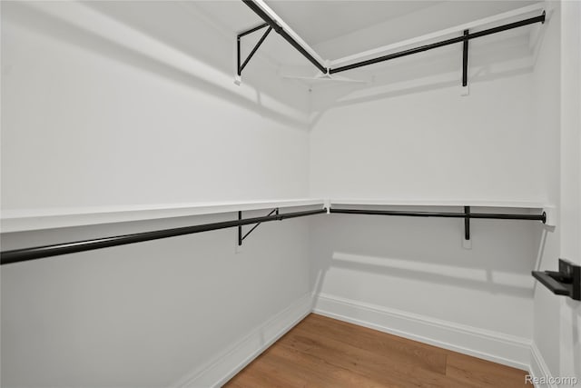 2182 Buckingham Ave, Birmingham, MI 48009 - walk in closet featuring light wood-style flooring