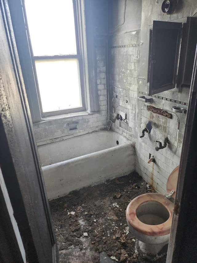 bathroom with a bathing tub