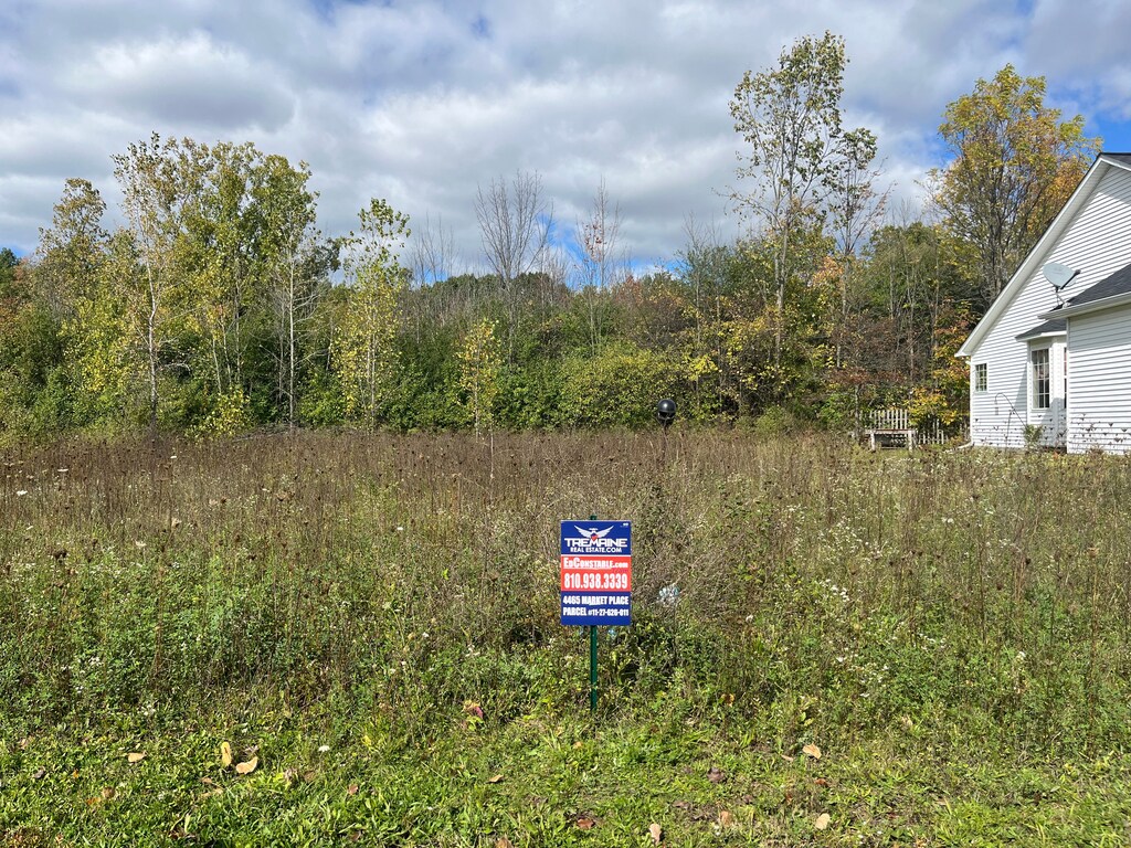 4465 Market, Flint, MI 48506 - photo 1