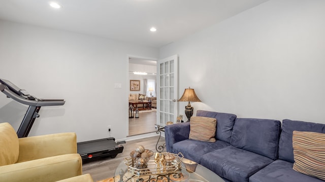 living room featuring french doors and light hardwood / wood-style flooring