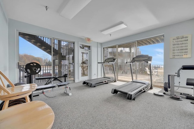 workout area featuring plenty of natural light and carpet