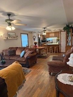 living room featuring ceiling fan and hardwood / wood-style floors