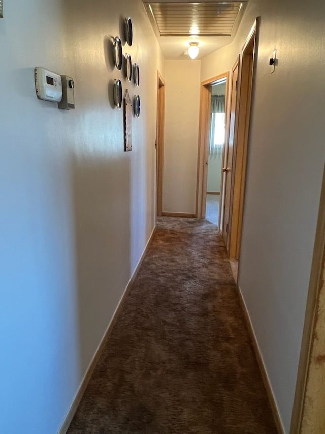 hallway featuring carpet floors