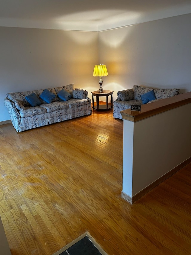 unfurnished living room with wood-type flooring