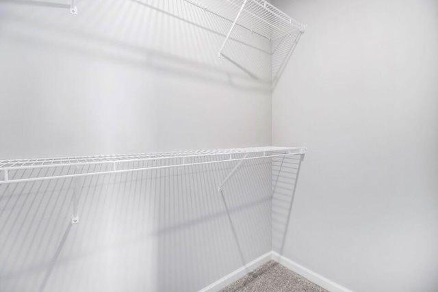 walk in closet featuring carpet floors