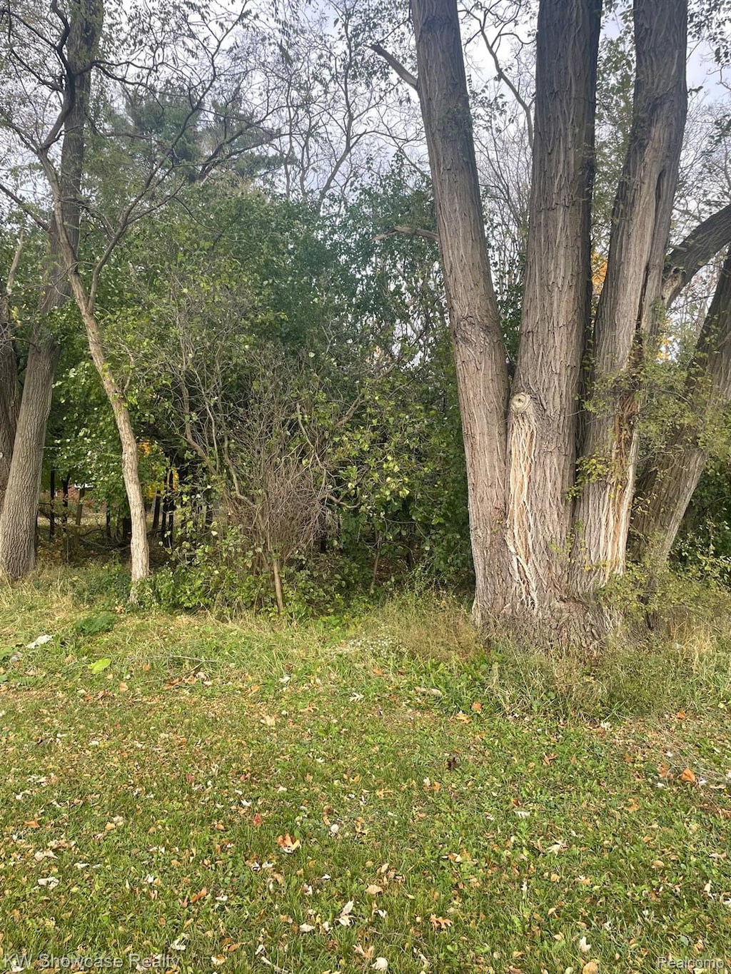 0000 Reed Lake Rd, Commerce Twp, MI 48382 - photo 1